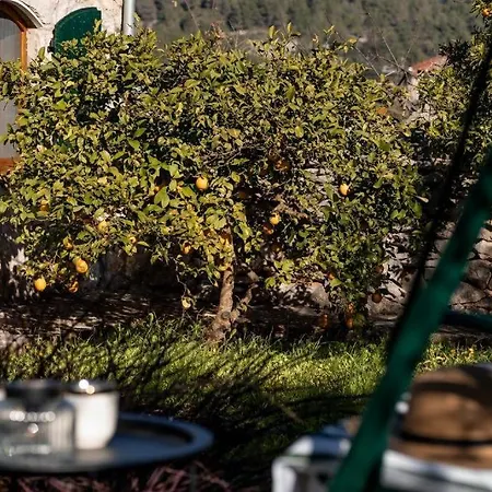 Stone House Anja 펜션 *