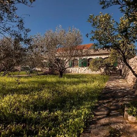 Holiday home Stone House Anja Vela Luka