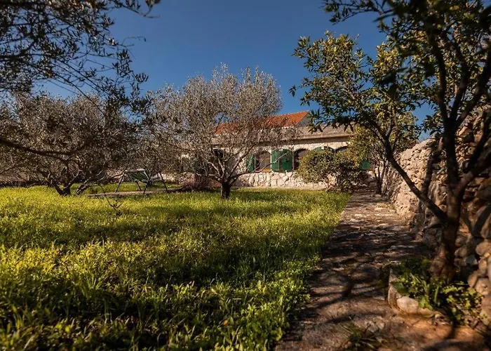 Semesterbostad Stone House Anja Vela Luka